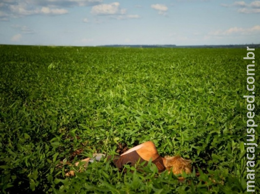 Alma de travesti assassinada tenta superar o medo e transformá-lo em afeto