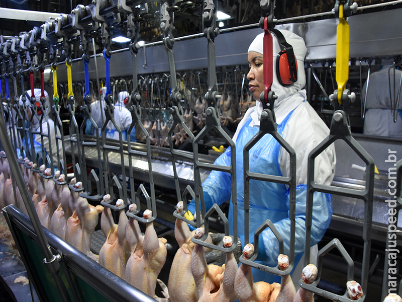 Atividade industrial segue estável na maioria das empresas de Mato Grosso do Sul Atividade industrial segue estável na maioria das empresas de Mato Grosso do Sul