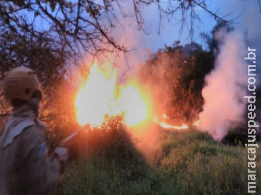Bombeiros levam mais de 12 horas para controlar incêndio no Passo do Lontra Bombeiros levam mais de 12 horas para controlar incêndio no Passo do Lontra
