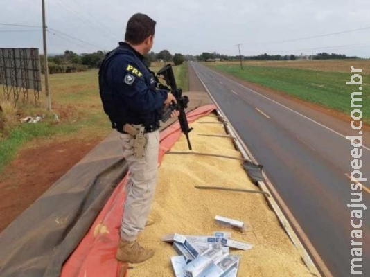 Carretas que saíram de MS são apreendidas com R$ 4,7 milhões em cigarros Carretas que saíram de MS são apreendidas com R$ 4,7 milhões em cigarros