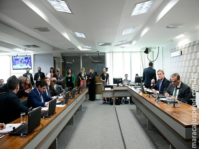 CE aprova preferência para produtores locais em compras de merenda