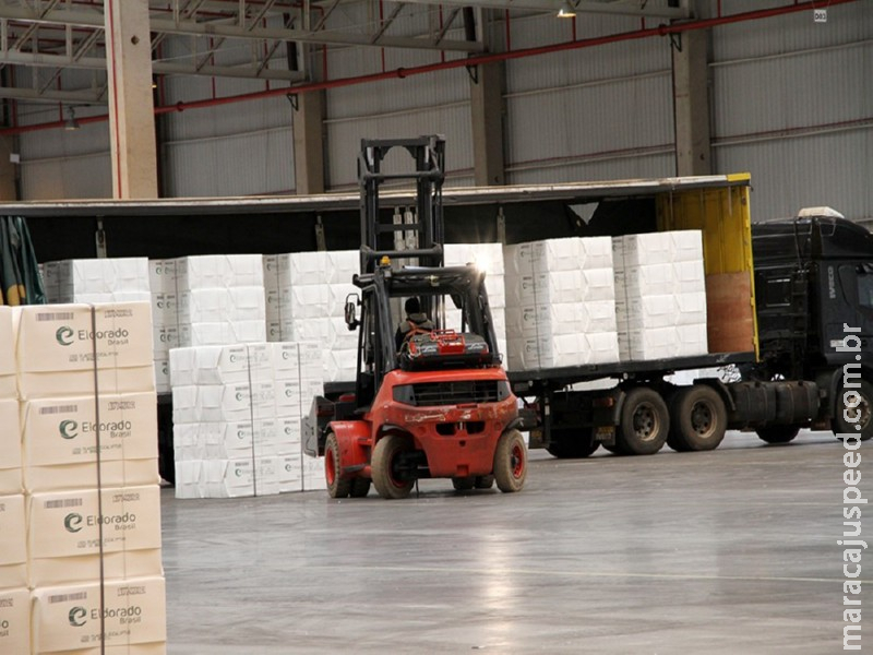 Celulose já responde por 60% das exportações de industrializados de MS, que atingem receita de US$ 2,14 bilhões em 7 meses Celulose já responde por 60% das exportações de industrializados de MS, que atingem receita de US$ 2,14 bilhões em 7 meses