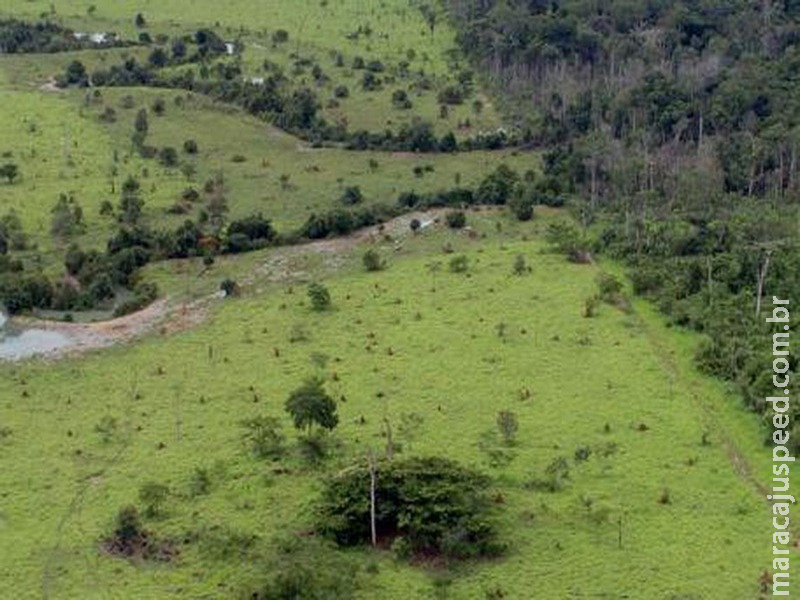 Começa hoje prazo para entrega da declaração de propriedade rural