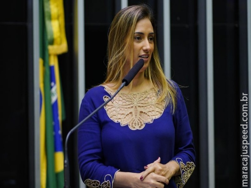 Defesa do Consumidor aprova definição de alimento integral Defesa do Consumidor aprova definição de alimento integral