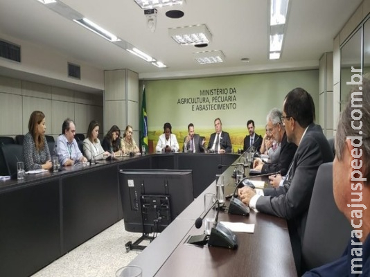 Especialistas discutem situação da produção do setor leiteiro