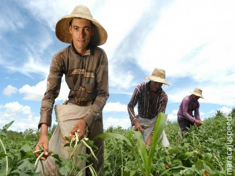 FAO apoia plano de impulso à agricultura familiar na América Latina e Caribe