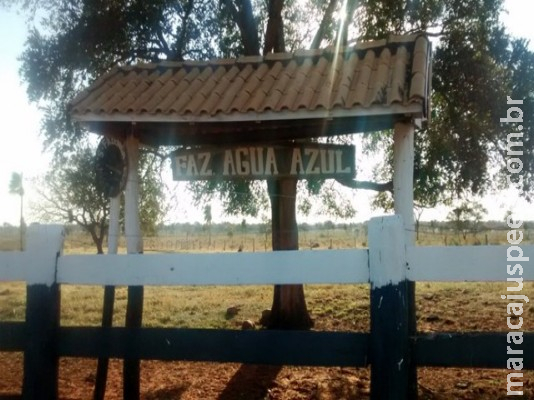 Fazenda com área equivalente a 2 mil campos de futebol é leiloada em MS 