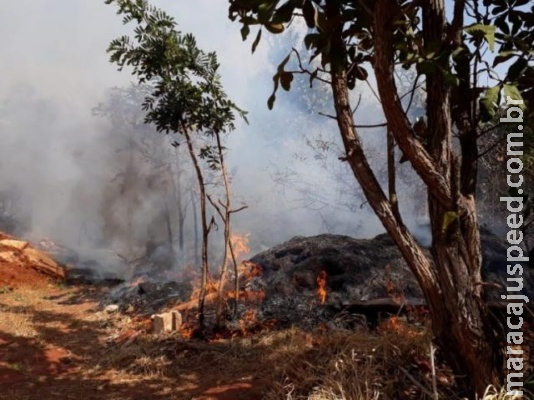 Fogo em vegetação se espalha rapidamente e fumaça atrapalha motoristas