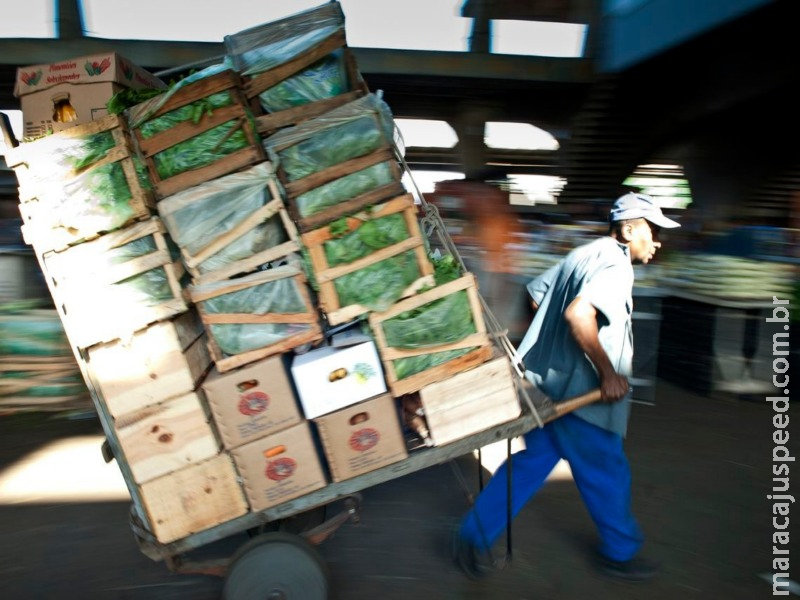 Governo estima valor bruto da produção agropecuária em R$ 603 bilhões