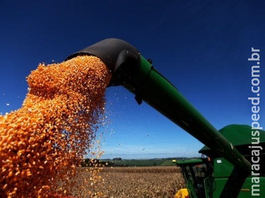 Governo faz ajustes nas regras do Programa de Seguro Rural para o próximo ano Governo faz ajustes nas regras do Programa de Seguro Rural para o próximo ano