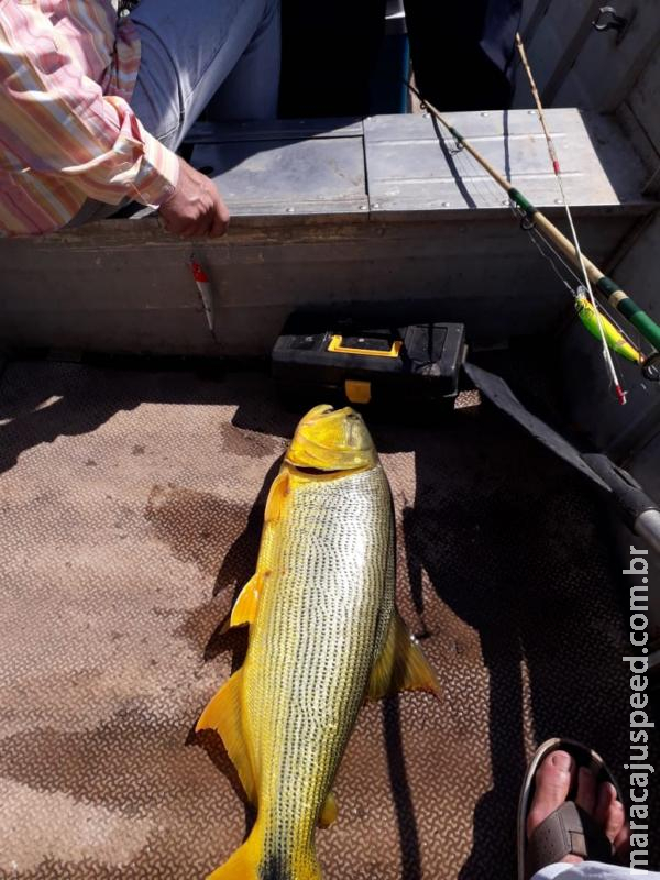 Homem divulga pesca de Dourado e é multado em R$ 4,3 mil Homem divulga pesca de Dourado e é multado em R$ 4,3 mil