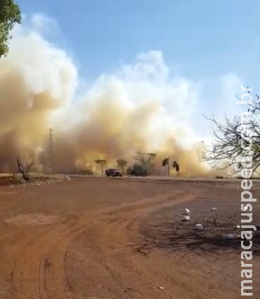 Incêndio de grandes proporções atinge área próxima a BR-463