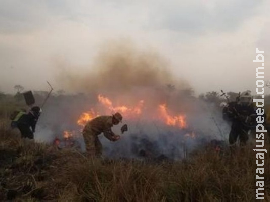 Incêndios na Bolívia já consumiram 1 milhão de hectares