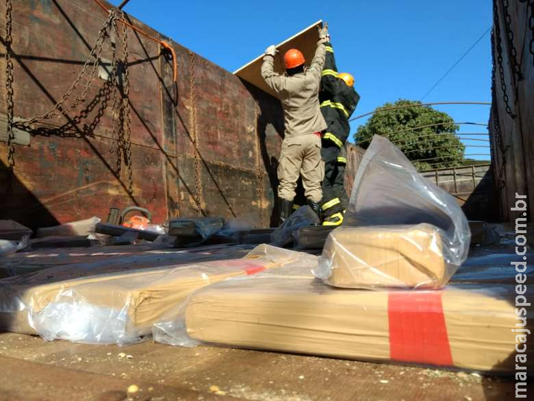 Maconha apreendida sob carga de soja ultrapassou 1 tonelada Maconha apreendida sob carga de soja ultrapassou 1 tonelada