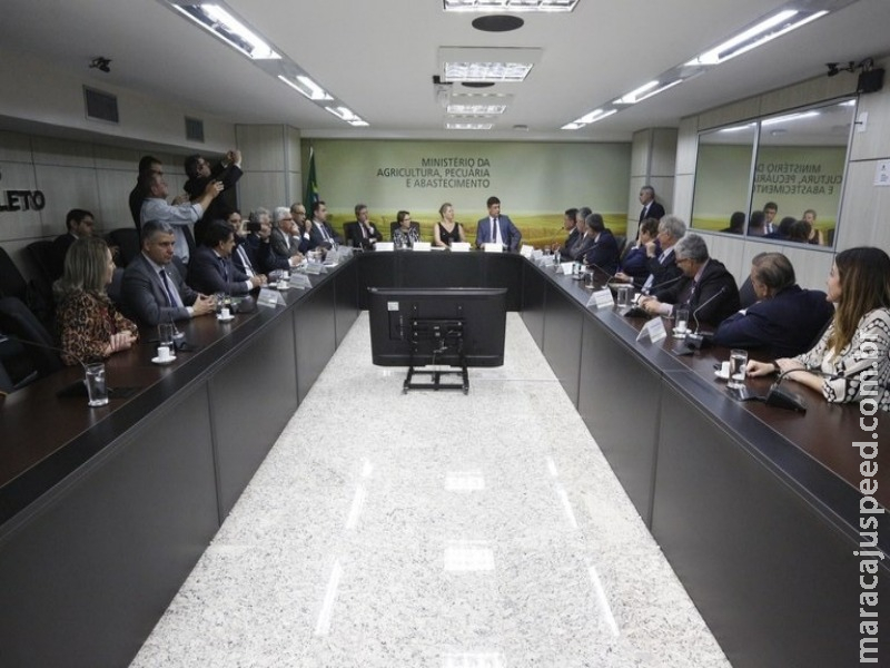 Ministra e parlamentares discutem dívidas dos produtores de café