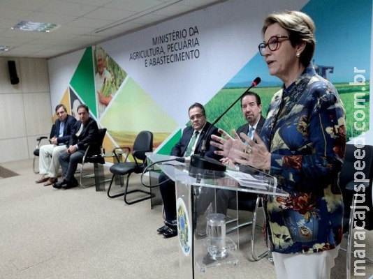 Não há razões para barreiras comerciais ao agronegócio por causa de queimadas, diz ministra