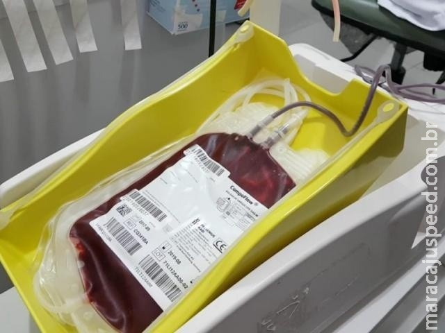 Para fim de polêmica em doação de sangue, lei derruba artigo que barra gays