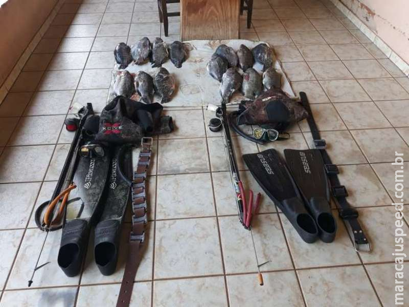 Paulistas são multados por pesca sem autorização Paulistas são multados por pesca sem autorização