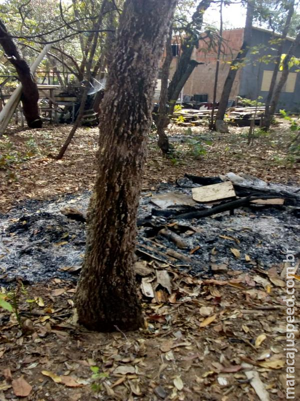 PMA autua infrator em R$ 2 mil por derrubada ilegal de árvores nativas PMA autua infrator em R$ 2 mil por derrubada ilegal de árvores nativas
