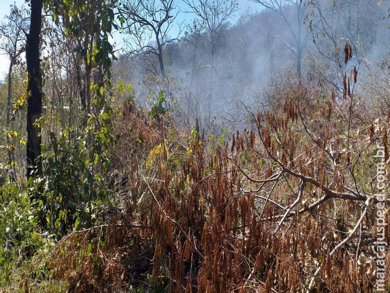 PMA autua invasor de terreno em R$ 5 mil por provocar incêndio em vegetação para limpeza
