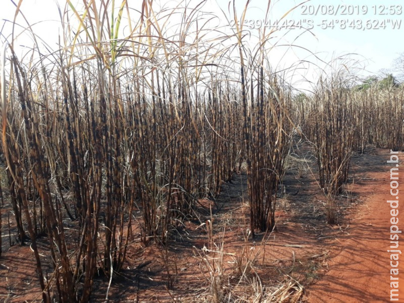 PMA autua usina sucroenergética em R$ 273 mil por incêndio em lavoura de cana-de-açúcar sem autorização