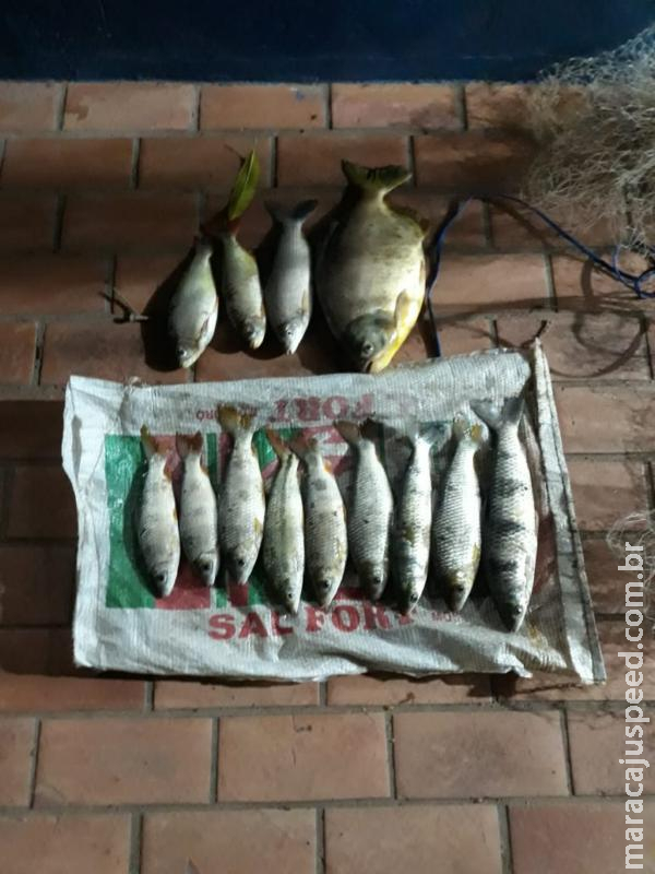 PMA prende e autua dois pescadores em R$ 4 mil por pesca predatória PMA prende e autua dois pescadores em R$ 4 mil por pesca predatória
