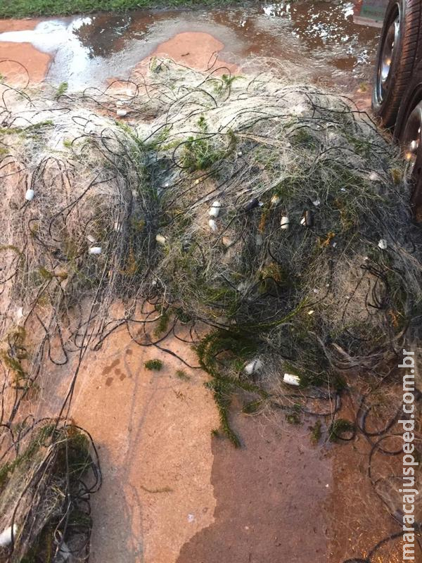 Polícia Militar Ambiental apreende 900 metros de redes de pesca no rio Paraná e solta 11 kg de pescado dos petrechos ilegais Polícia Militar Ambiental apreende 900 metros de redes de pesca no rio Paraná e solta 11 kg de pescado dos petrechos ilegais