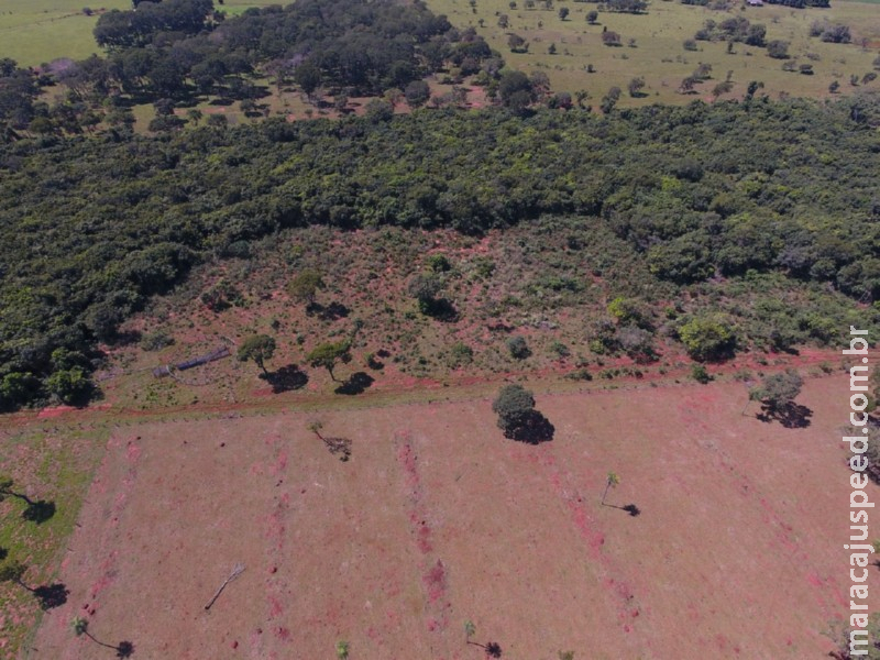 Polícia Militar Ambiental de Jardim autua infrator por desmatamento ilegal durante operação Cervo-do-Pantanal