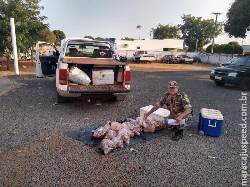 Polícia Militar Ambiental prende e autua paulista em R$ 43 mil com 87 kg de carne de animais silvestres abatidos com arma de fogo Polícia Militar Ambiental prende e autua paulista em R$ 43 mil com 87 kg de carne de animais silvestres abatidos com arma de fogo