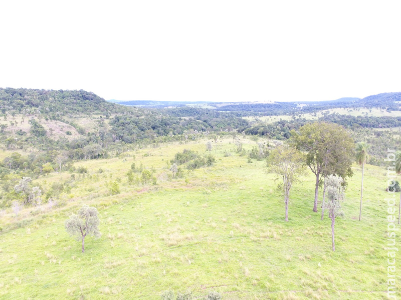 Polícia Militar Ambiental usa drone e imagem de satélite e autua infrator por desmatamento ilegal de 5,4 hectares de vegetação nativa