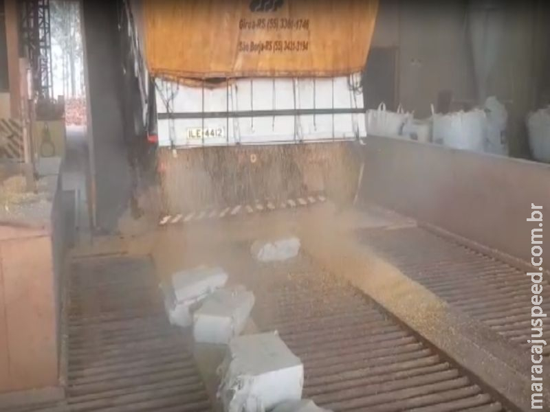 PRF apreende 677 kg de maconha escondidos em meio a carga de milho carregada em Maracaju PRF apreende 677 kg de maconha escondidos em meio a carga de milho carregada em Maracaju