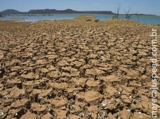 Produtores receberam R$ 925 milhões em indenizações de seguro rural em 2018