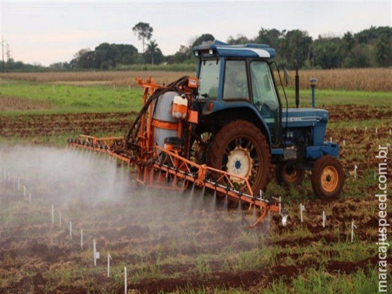 Relógio biológico pode definir pulverização