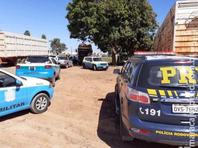 Suposto desmanche de caminhões é descoberto em operação da PRF e PM Suposto desmanche de caminhões é descoberto em operação da PRF e PM