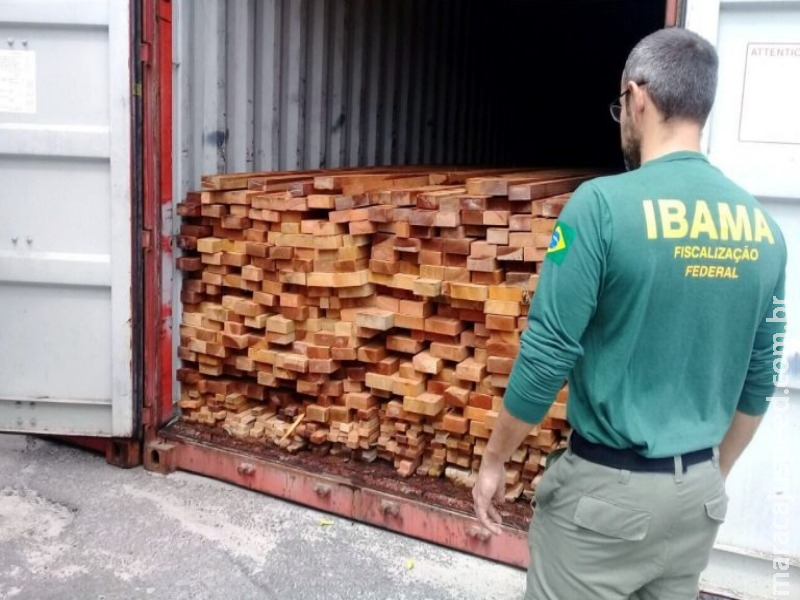 Câmara cria comissão externa para avaliar políticas ambientais