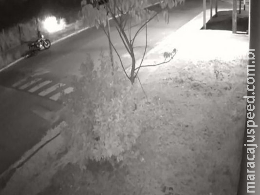 Câmera flagra motociclista colocando fogo em terreno baldio em Campo Grande Câmera flagra motociclista colocando fogo em terreno baldio em Campo Grande