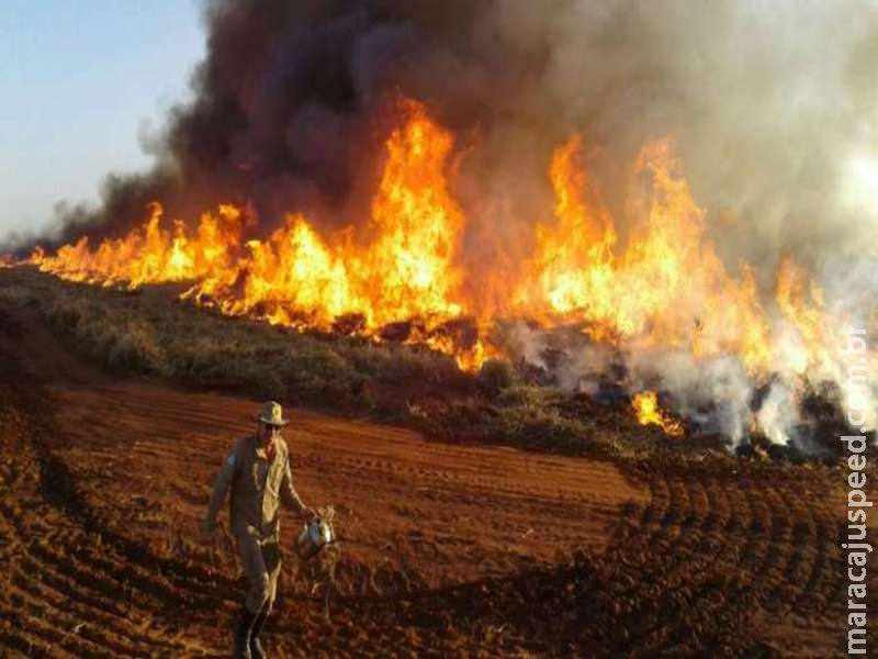 Com maior poder operacional, Bombeiros ampliam combate a incêndios florestais em MS