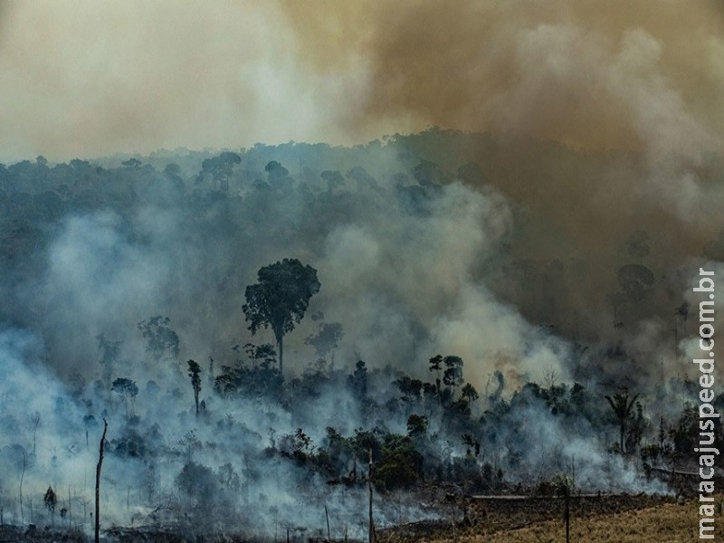 Comissão de Mudanças Climáticas debate monitoramento dos desmatamentos Comissão de Mudanças Climáticas debate monitoramento dos desmatamentos