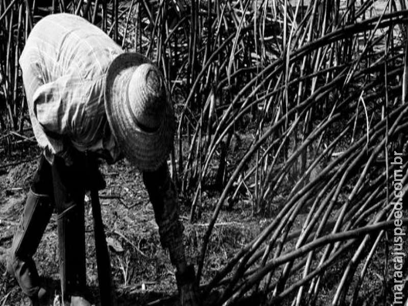 Comissão para tratar da erradicação do trabalho escravo é instituída em MS