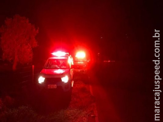 Dono de boi será investigado após animal invadir pista e causar acidente com morte 