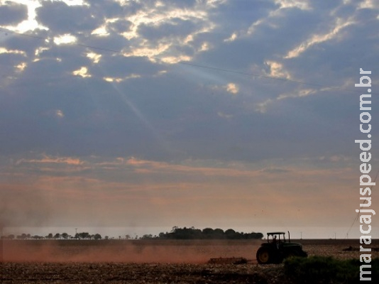 Estiagem poderá atrasar o plantio da soja em MS