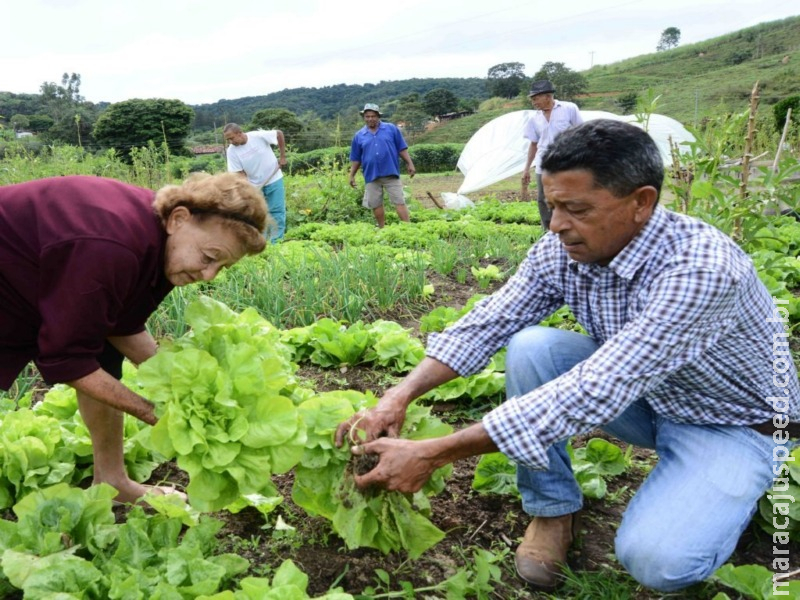 FAO defende impulso a sistemas alimentares saudáveis e sustentáveis no Brasil