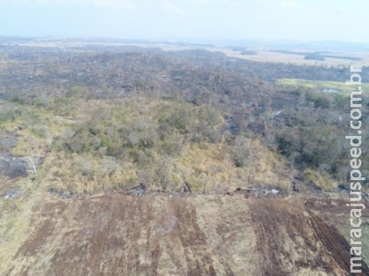 Fazendeiro é multado em R$ 224 mil por desmatamento e incêndio Fazendeiro é multado em R$ 224 mil por desmatamento e incêndio