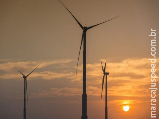 Geração eólica alcança bate novo recorde no Nordeste, diz ONS