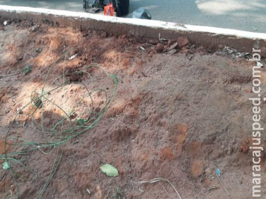 Homem de 43 anos desenterra 10 metros de fio e acaba preso por furto