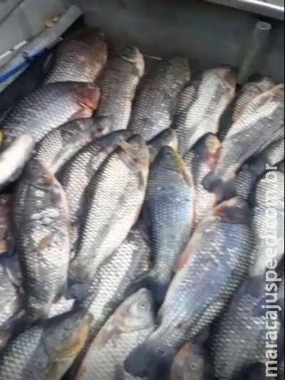 Homem divulga vídeo de pesca ilegal e é autuado por crime ambiental Homem divulga vídeo de pesca ilegal e é autuado por crime ambiental