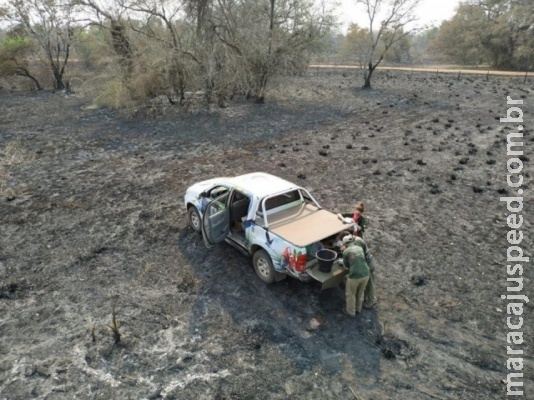 Incêndios terão efeito catastrófico para animais no Pantanal, prevê Instituto