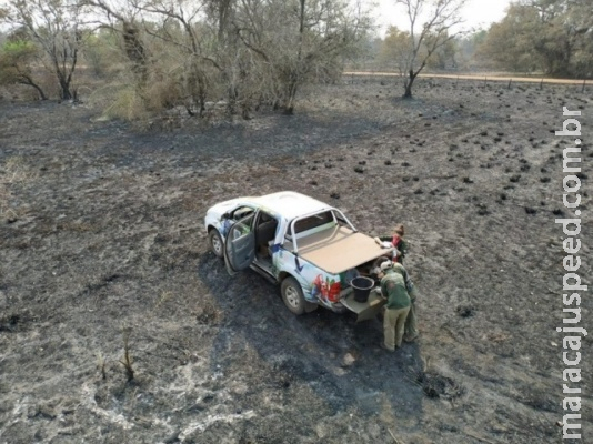 Incêndios terão efeito catastrófico para animais no Pantanal, prevê Instituto Incêndios terão efeito catastrófico para animais no Pantanal, prevê Instituto