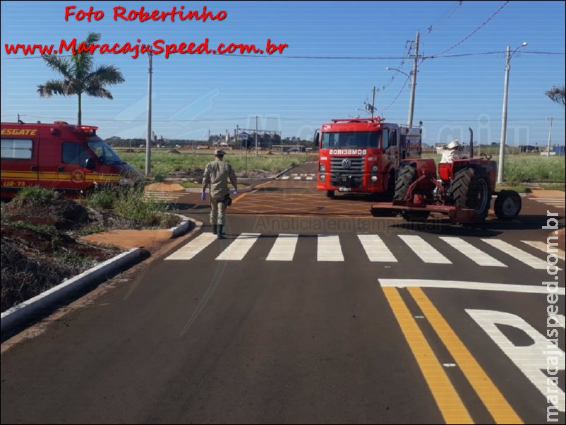 Maracaju: Bombeiros atendem ocorrência onde abelhas atacam operador de trator