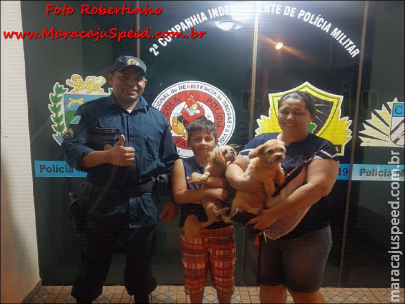 Maracaju: Polícia Militar recuperou dois cachorrinhos que foram furtados na Vila Moreninha